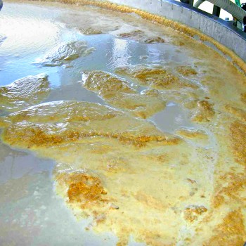 Traitement des effluents agroalimentaires