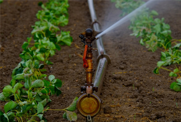Système d'irrigation